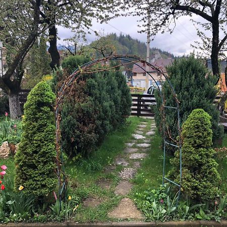 Casa Maria Villa Bran  Buitenkant foto