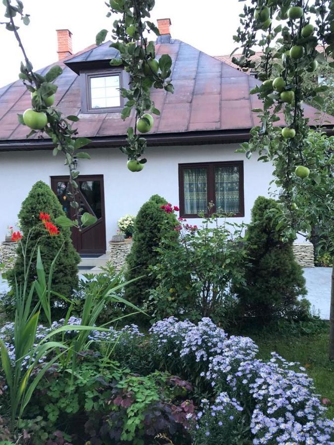 Casa Maria Villa Bran  Buitenkant foto