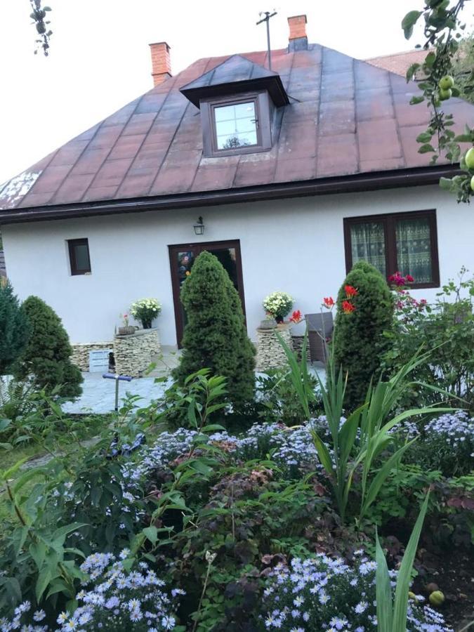 Casa Maria Villa Bran  Buitenkant foto