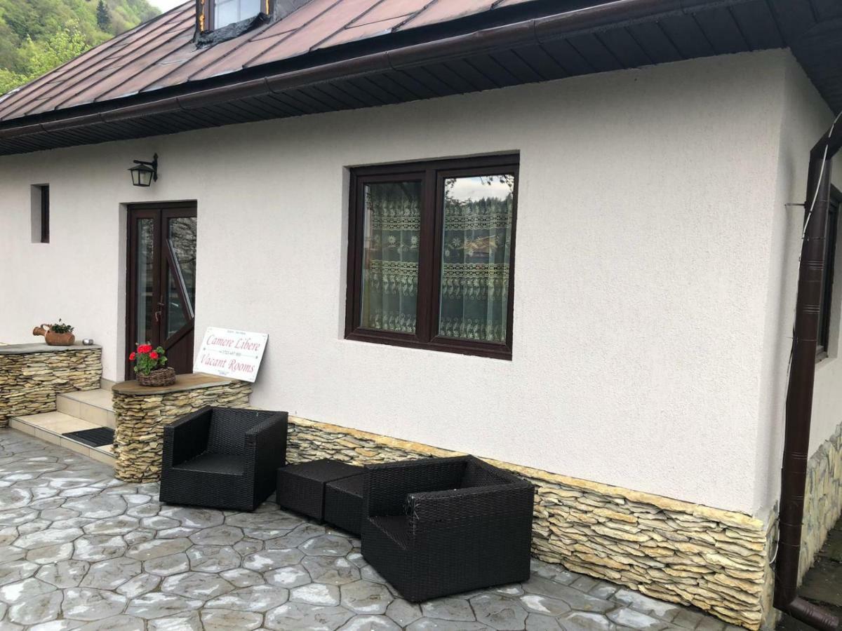Casa Maria Villa Bran  Buitenkant foto